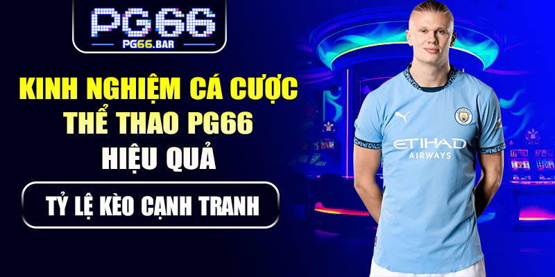 Kinh nghiệm cá cược thể thao PG66 hiệu quả