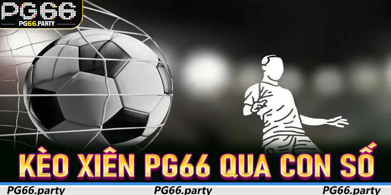 Kèo Xiên PG66 qua con số - Hiểu thị trường cược